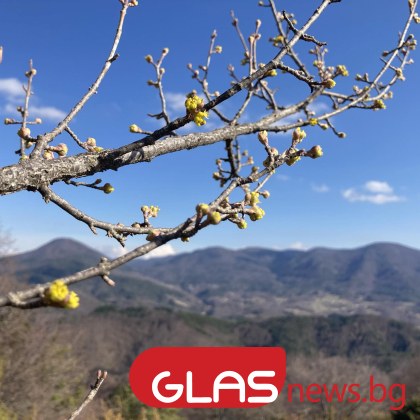 Намелена е видимостта на отделни места в низините и равнините