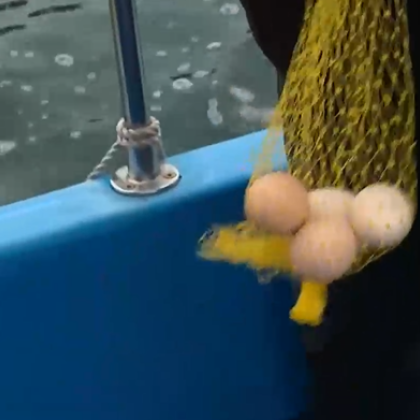 На Велика събота Румен Бахов се качва на лодка за