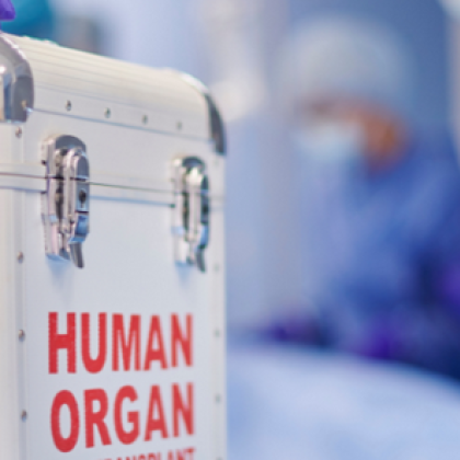 Три нови трансплантации бяха извършени в страната на Разпети петък