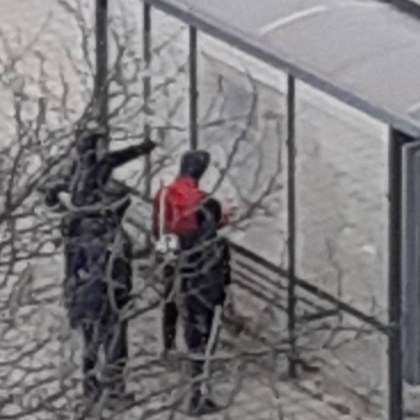 Действията на група деца предизвикаха бурна реакция в социалните мрежи