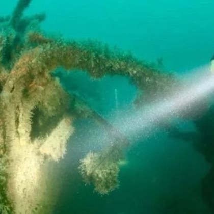 53 годишният Дом Робинсън от Обединеното кралство стана собственик на истински