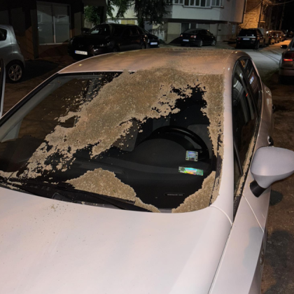 Необичайна гледка посрещна шофьорка от Пазарджик Снощи тя откркрила автомобила