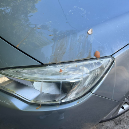 Само четири дни след като си купува нов автомобил жител