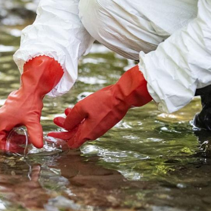 Биотпадъци сред които животински фекалии и химически материали са открити