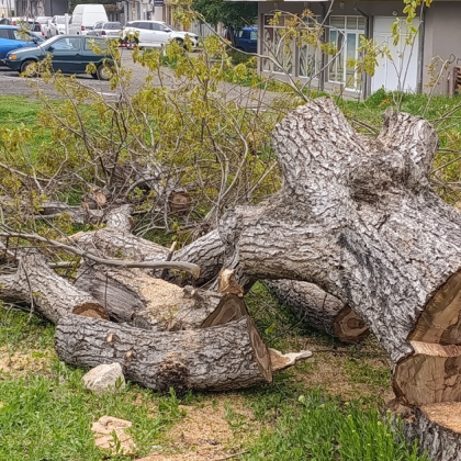 Вчера 22 април 2025 г на път за дома се натъкнах на грозна гледка