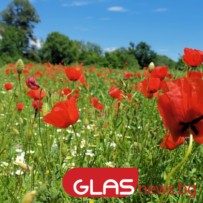 Днес преди обяд в по голямата част от страната ще бъде