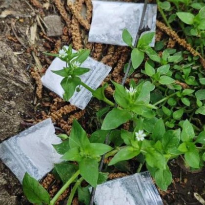 Задържаха 12 души за денонощие при спецакция срещу разпространението на