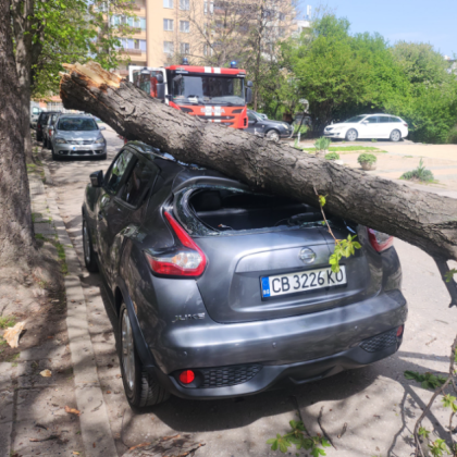 Както GlasNews съобщи дърво падна и премаза автомобил в столичния