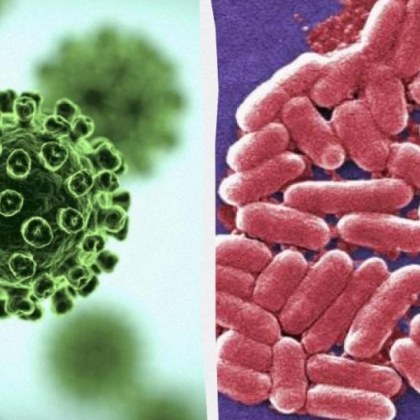 Учени от университета в Нотингам изобретиха специална боя която може