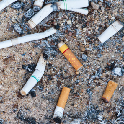 Искам да споделя тревогата си относно състоянието на задната част