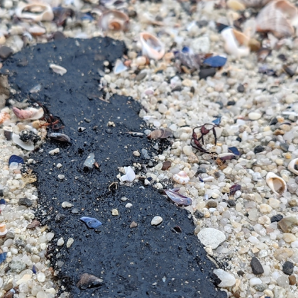 Мазут в дивото Стигнал е и до тук – Отлагането на