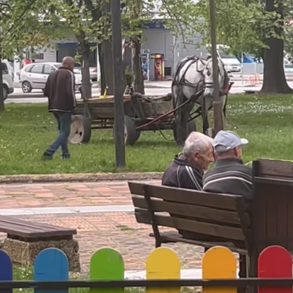 Каруца с кон влезе в градинката на автогарата на град