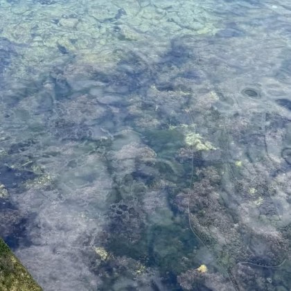 Сериозен петролен разлив е регистриран тази сутрин в акваторията край