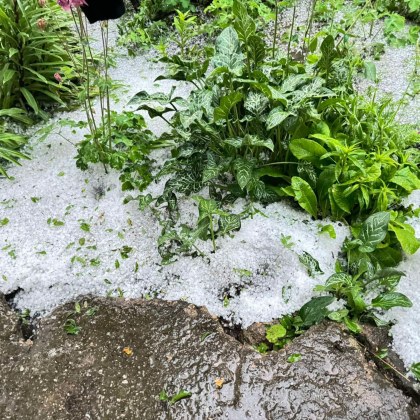 Различни части от страната бяха връхлетени от мощни градушки с