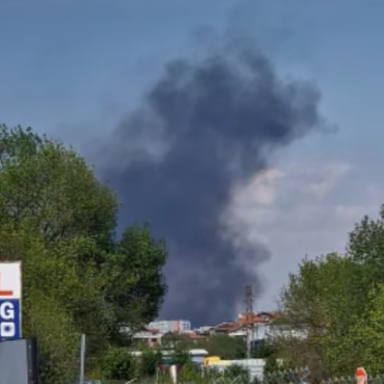 Пожар е избухнал край езерото Вая в Бургас край околовръстния