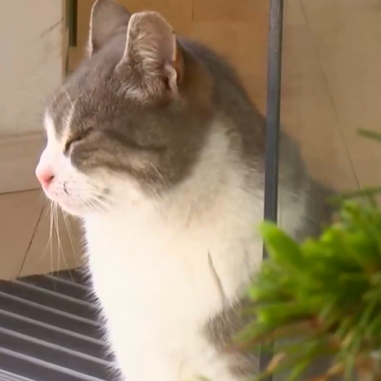 Морската ни столица се сблъска с необичаен проблем За последните