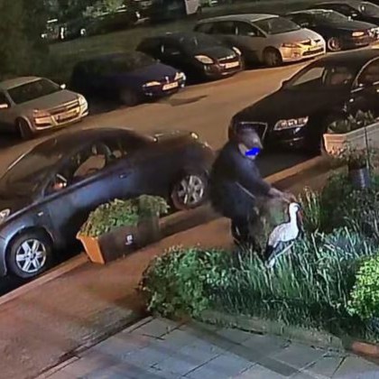 Нощна София е изпълнена с най различни мистерииозни случки например