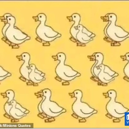 Популярната Facebook страница Minion Quotes подлуди интернет потребителите с нова