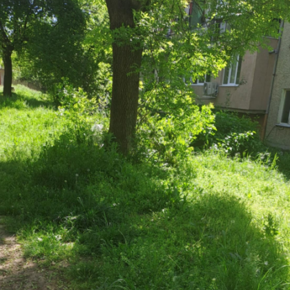 Избуяли треви и бурени превземат междублоковите пространства във Велико Търново