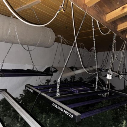 Две наркооранжерии бяха разкрити в рамките на едно денонощие на