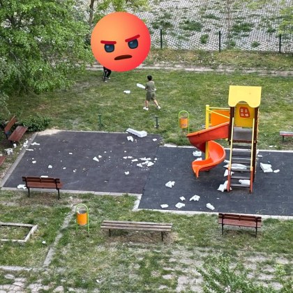 Докато децата в София все по рядко намират здрави и безопасни