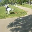 Куче нападна полицейски коне ВИДЕО