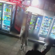 Видеозапис показва едни от последните минути, когато Магдалена е била жива ВИДЕО