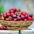 Узряха оранжерийните череши. Каква ще е цената?