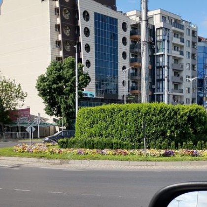 Участници в движението в Пловдив се оплакаха от декоративните храсти