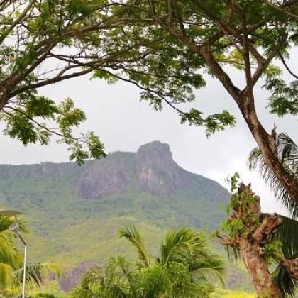 Лек самолет изчезнал в боливийската Амазония е открит И петимата души