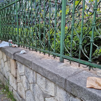 За съжаление темата за чистотата по улиците на българските градове