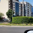 Граждани недоволстват: Храсти в кръгово в Пловдив скриват видимостта? СНИМКА