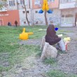 Възрастен господин успя да спечели Мрежата СНИМКА