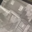 ВИДЕО показва как убиецът на Магдалена бута бидона, в който е скрито тялото ѝ?