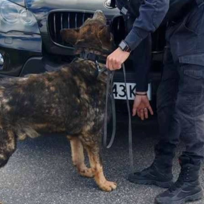 След часове обиски на над четири адреса в Бургас и