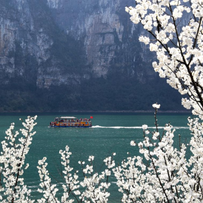 Трима души загинаха а 60 други бяха хоспитализирани след като