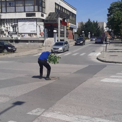 Озеленяване по чирпански Снимки публикувани в местна Facebook група разсмяха жителите