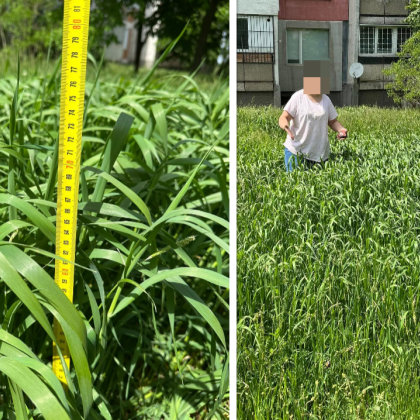 Жители на столичния квартал Люлин 1 изразиха остро недоволство в