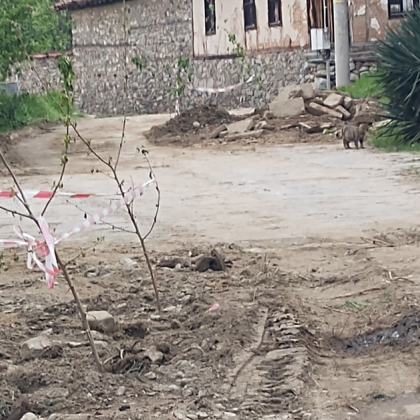 Улица №46 в село Васил Левски община Карлово е на