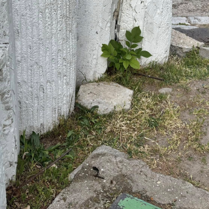 Жителка на пловдивския квартал Тракия алармира за сериозна опасност в