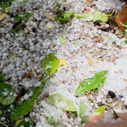 Силен дъжд придружен от градушка и гръмотевици се изля преди