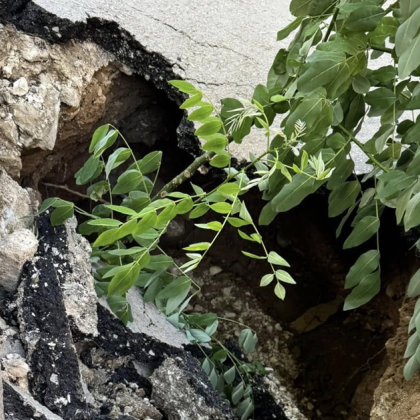 Голяма дупка се е отворила на улица Асен Златаров в