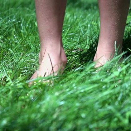 Първи случай на Лаймска болест е регистриран в Пловдив съобщи Заболяването