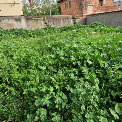 В сърцето на Ямбол където би трябвало да се чува