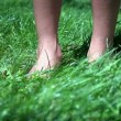 Първи случай на Лаймска болест в Пловдив, мъж е ухапан от кърлеж в парк 