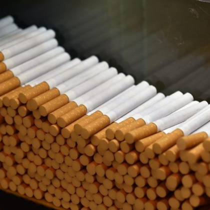 Две жени са били заловени при спецакция за противодействие на