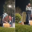 Побой в Скравена: Мъж с потрошени ребра, дъщеря му вдига протест ВИДЕО