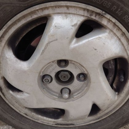 Колата на пловдивчанин стана жертва на малка но изключително опасна