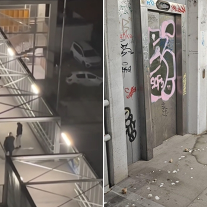 Шокиращо проявление на жестокост към животно възмути варненци и предизвика