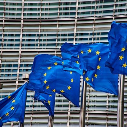 Формациите които са против предложението за референдум на президента размишляват